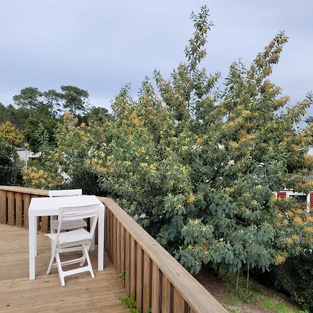 Vue Bassin Arcachon Mobil-home 8 Personnes By Vayny * Lège-Cap-Ferret